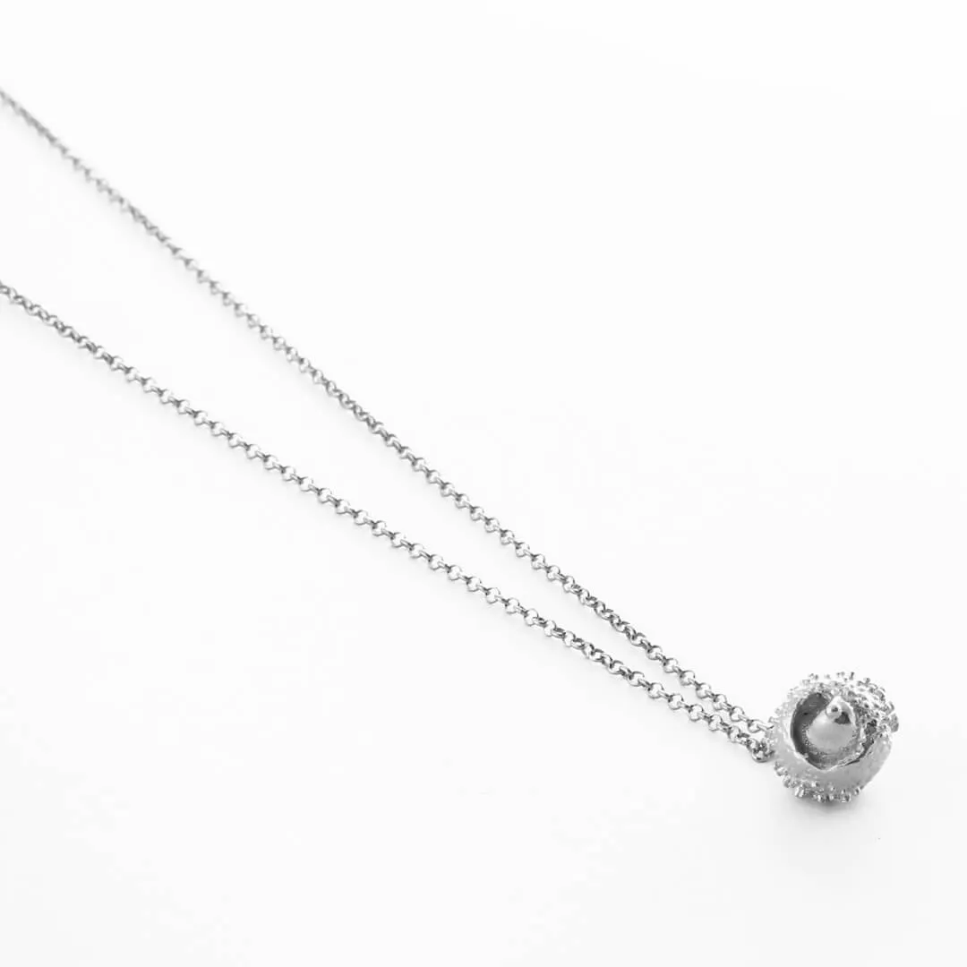 Water oak nut - sparkling necklace - silver 925