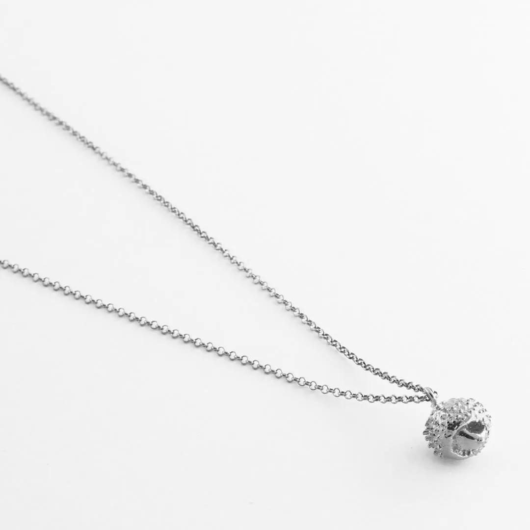 Water oak nut - sparkling necklace - silver 925